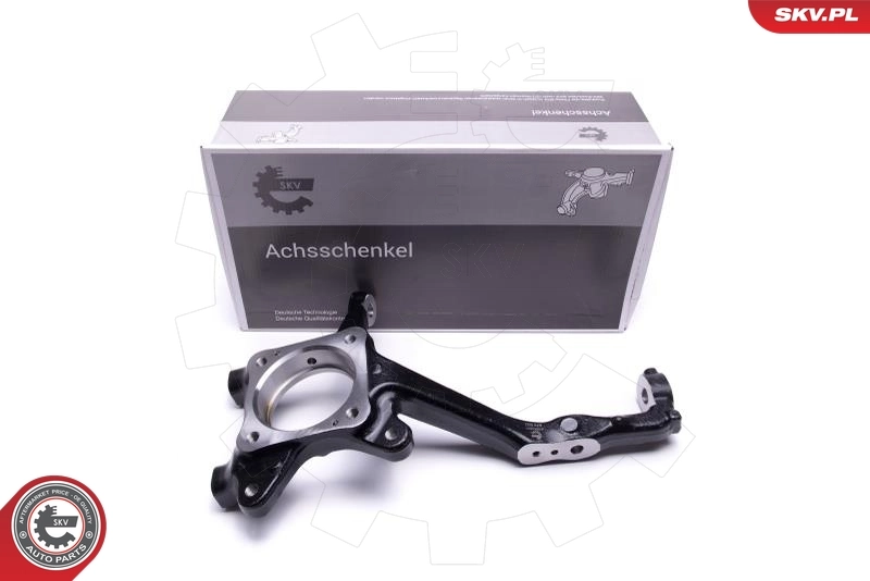 Steering Knuckle, wheel suspension